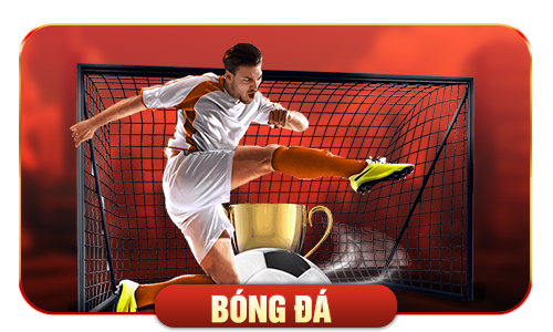 cá cược bóng đá sv388