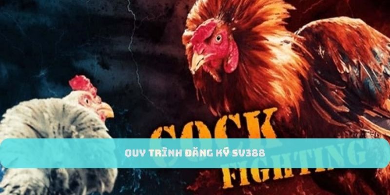 Các bước trở thành hội viên