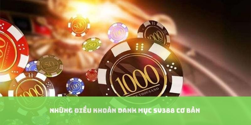 Các điều khoản điều kiện cơ bản