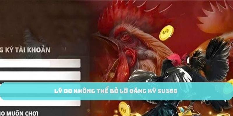 Ưu điểm khi tham gia đăng ký tài khoản nhà cái